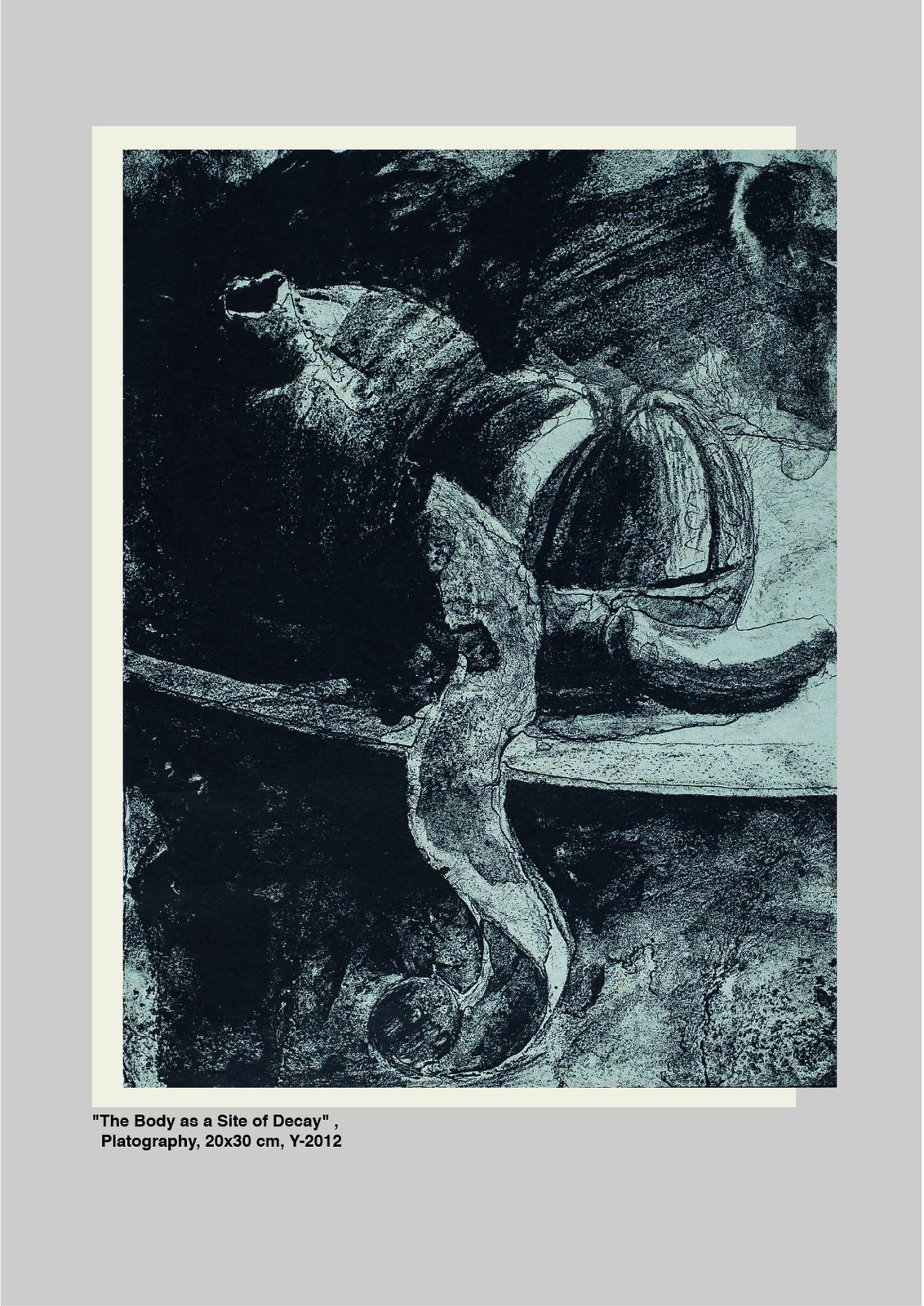Bitter Harvest: Life & Death, plate 10, by Rumana Rahman